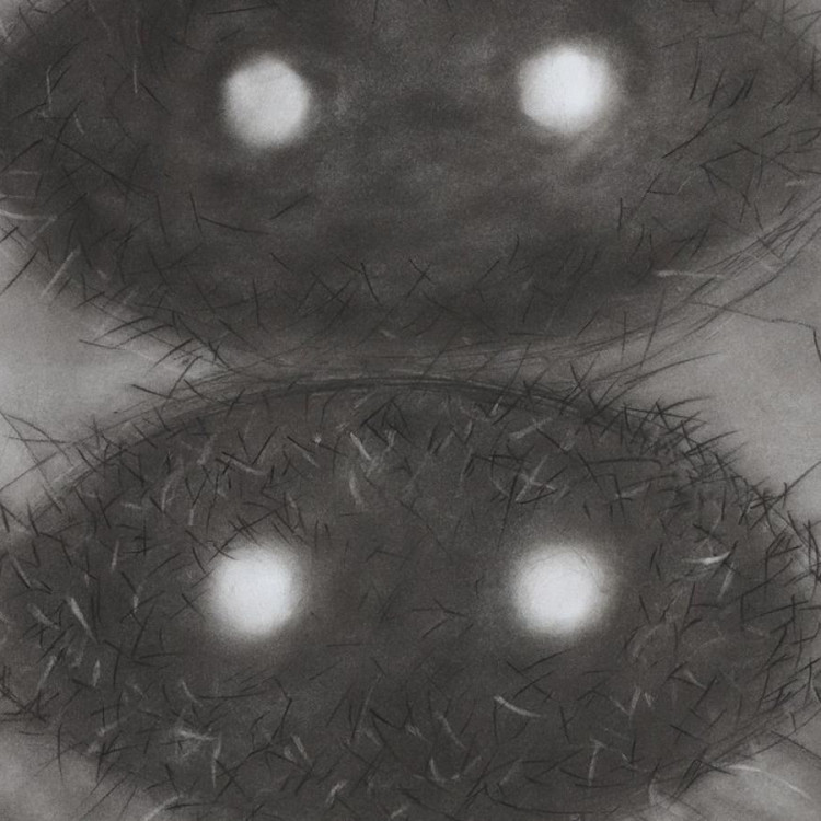 Lenka Březinová – Zjevování