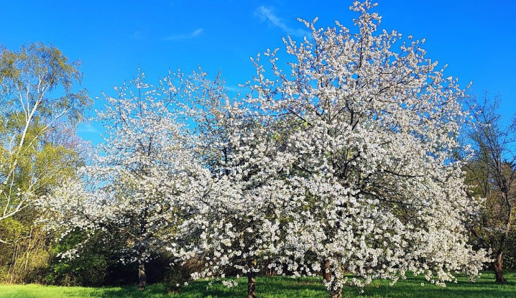 Dubnové povídání