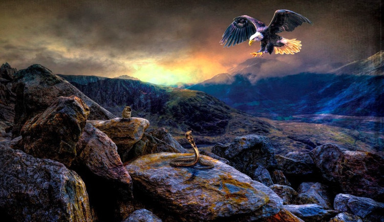 Orol a had - príbeh, ktorý môže ovplyvniť náš postoj k hádkam a zvadám