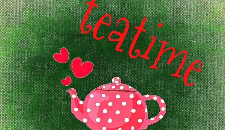 O jazykovém purismu