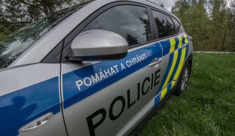 Kriminalisté pátrají po matce, která byla těhotná, porodila a nemá dítě u sebe