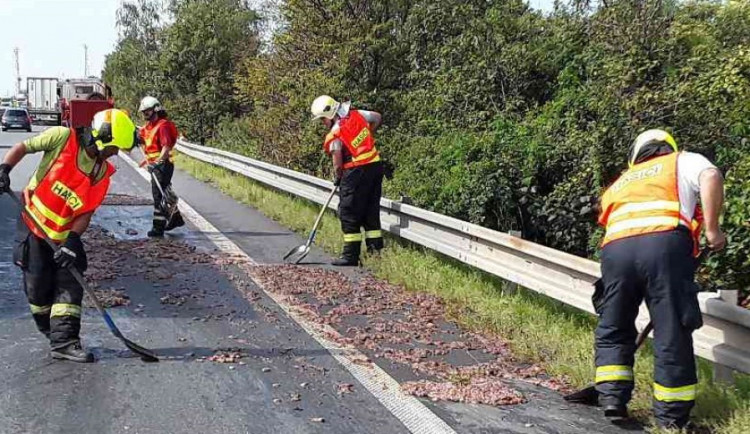 AKTUÁLNĚ: Na dálnici se vysypal náklad z kafilerie. Vytvořil vrstvu dlouhou padesát metrů