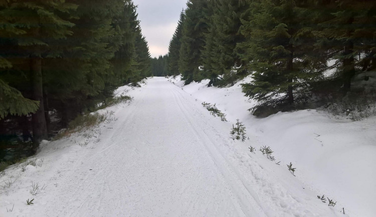 Jizerská 50 v ohrožení. Pořadatelé se obávají oteplení a deště