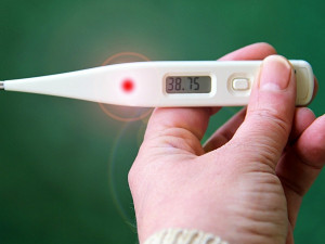 Na Chebsku mírně přibylo chřipkových onemocnění