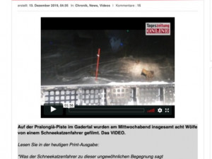 Jak se ukázalo, vlci pobíhali nikoli před českou ale před italskou rolbou.