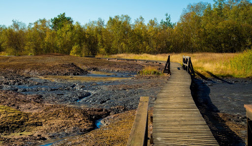 Místo koledování mohli lidé na procházku do rezervace Soos