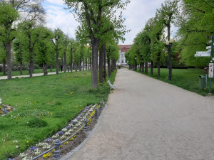 Na Karla IV. byste dnes v Karlových Varech čekali marně