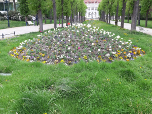 Na Karla IV. byste dnes v Karlových Varech čekali marně