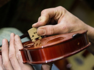 Soud povolil reorganizaci Strunalu, výrobce hudebních nástrojů