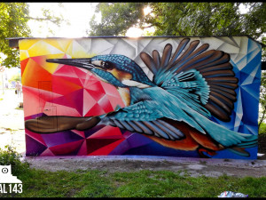 Ledňáček na Vítězné ve Varech