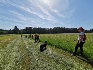 do terénu vyráží i řada dobrovolníků