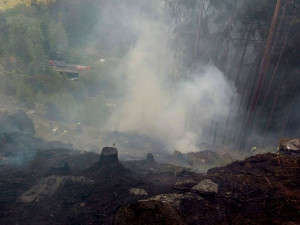 FOTO: Hasiči bojovali s lesním požárem, zásah komplikoval prudký svah