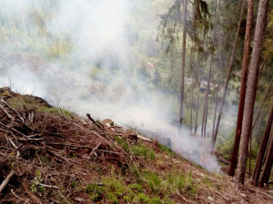 FOTO: Hasiči bojovali s lesním požárem, zásah komplikoval prudký svah