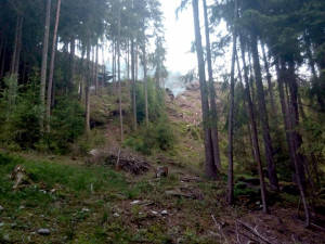 FOTO: Hasiči bojovali s lesním požárem, zásah komplikoval prudký svah