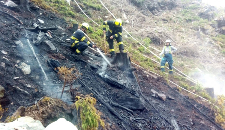 požár lesa u Oloví na Sokolovsku