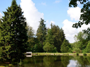 zámecký areál v Kynžvartu je druhým největším v republice