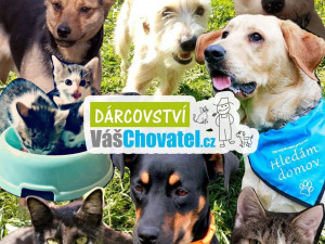 VášChovatel: Každý, kdo u nás nakupuje, podporuje zároveň útulky. Snažíme se, aby naše podnikání mělo přesah