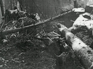 Autentická fotografie z místa dopadu letounu v lese u Křepkovic 20. června 1970.