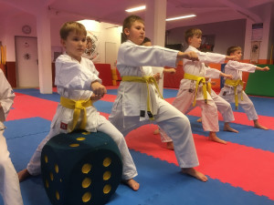 Sen vychovat reprezentanta se splnil, říká trenér Karate klubu Tygr Jan Ruth