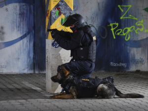 Chceš 110 tisíc korun, jistý plat a zajímavou práci? Přidej se k policii v Karlovarském kraji