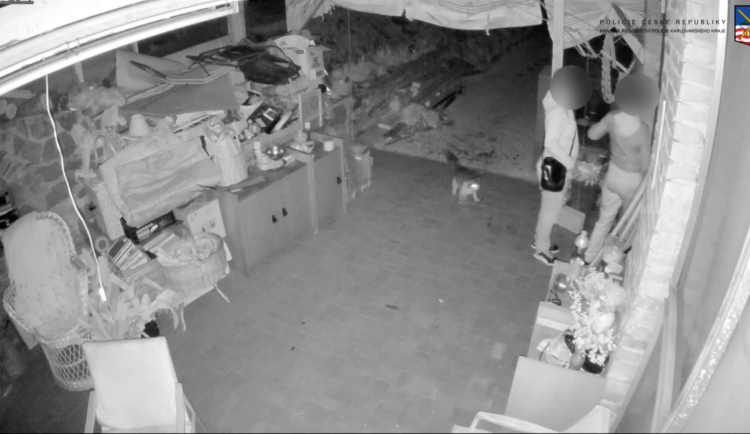 VIDEO: Trojice žen vyrazila na lup, plány jim zhatila paní, co šla krmit kočky