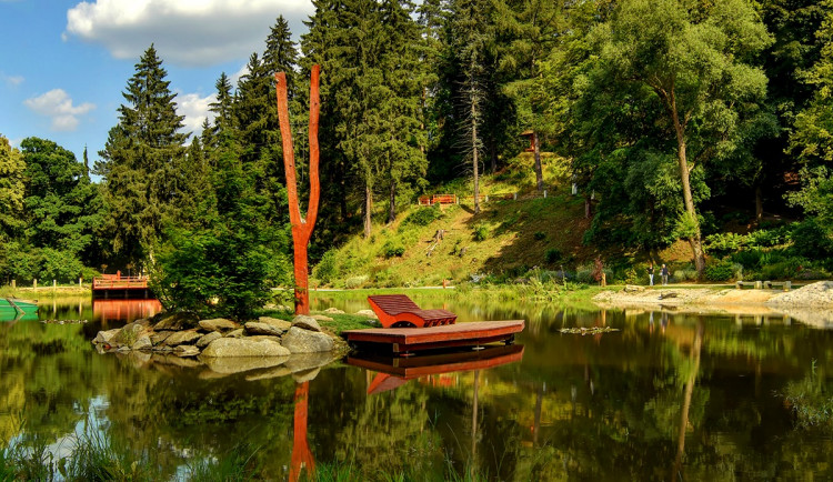 V Bečovské botanické zahradě připravují expozici vodních rostlin