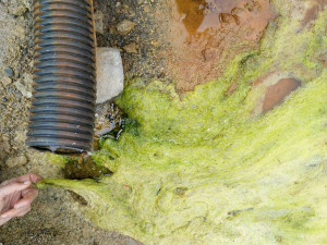 Pesticidy z podzemních vod výsypky bývalého lomu Hájek odstraní unikátní technologie