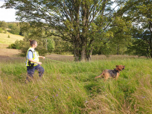 Po pohřešované ženě (23) pátrají všechny složky IZS, léčila se s depresemi