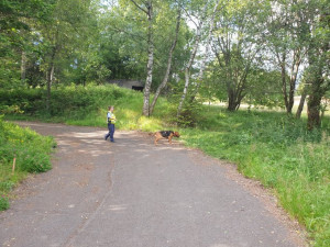 Po pohřešované ženě (23) pátrají všechny složky IZS, léčila se s depresemi