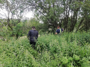 Po ženě (23) pátrají všechny složky IZS, léčila se s depresemi