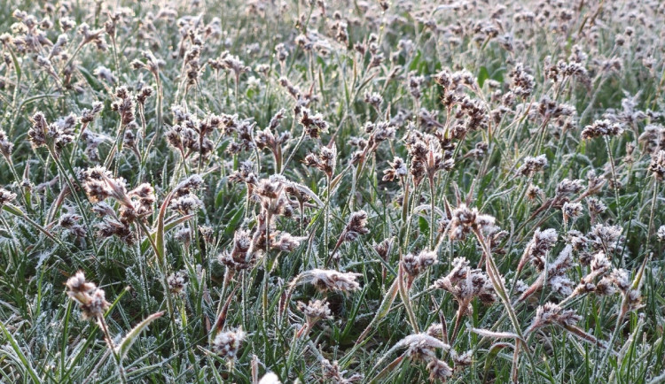 Chladné ráno na Šindelové