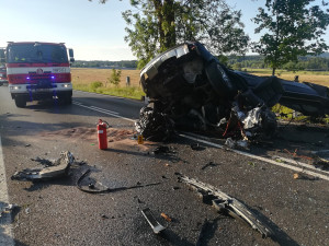 Řidič nezvládl řízení a narazil do stromu, zraněním podlehl