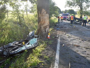 Řidič nezvládl řízení a narazil do stromu, zraněním podlehl