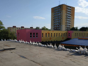 FOTO : Hasiče zaměstnal silný vítr, vyjížděli k desítkám případů