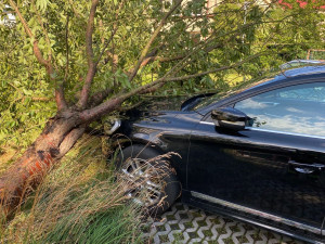 FOTO : Hasiče zaměstnal silný vítr, vyjížděli k desítkám případů