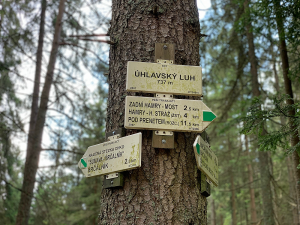 Ornitologové velmi ocení, pokud jim pošlete údaje z kroužku nalezeného mrtvého ptáka