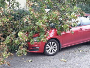 FOTO: Hasiče zaměstnal silný vítr, za sebou mají desítky výjezdů