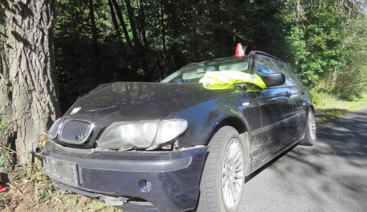 Mladá řidička nezvládla svůj vůz a narazila do stromu