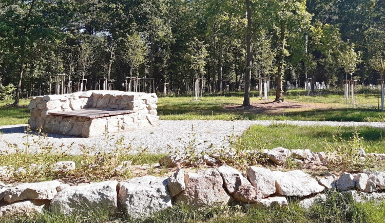 V Chodově dokončují úpravy lesoparku za 40 milionů korun