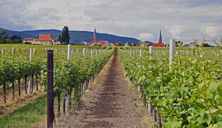 Ceny Patria Nostra mají nové laureáty. Úvodní ceremoniál proběhl bez předávajících i přebírajících