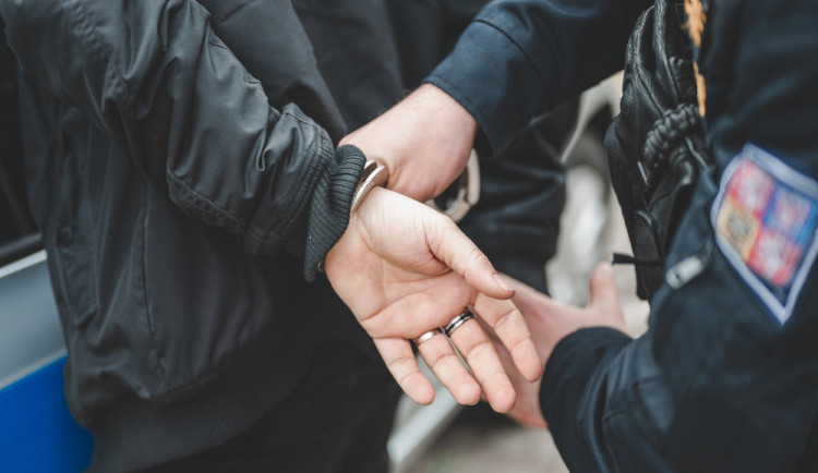 Přítelkyni týral devět let, bil ji basebalovou holí, ustřihl ji cop a mlátil pěstí