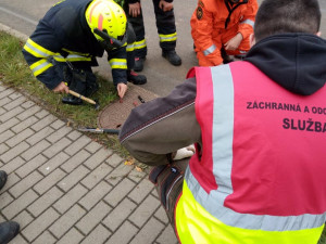 Záchrana koťat uvězněných v kanálu trvala deset hodin