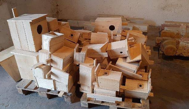 meganápady oříšky