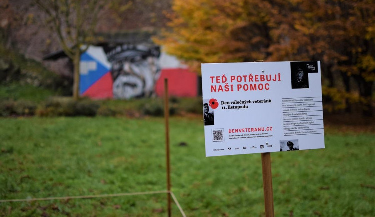 V Bezručových sadech vyrostlo makové pole. Má být připomínkou válečných veteránů