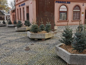 Lidé v Chebu mohou přispět k vánoční výzdobě města