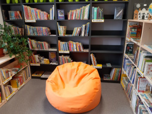 Knihovny v Karlovarském kraji začínají opět půjčovat knihy