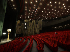 Vary bez diváků. Zrušený filmový festival bodoval na Czech Press Photo