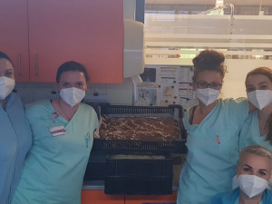 Počet nakažených covid-19 začal v Karlovarském kraji opět stoupat