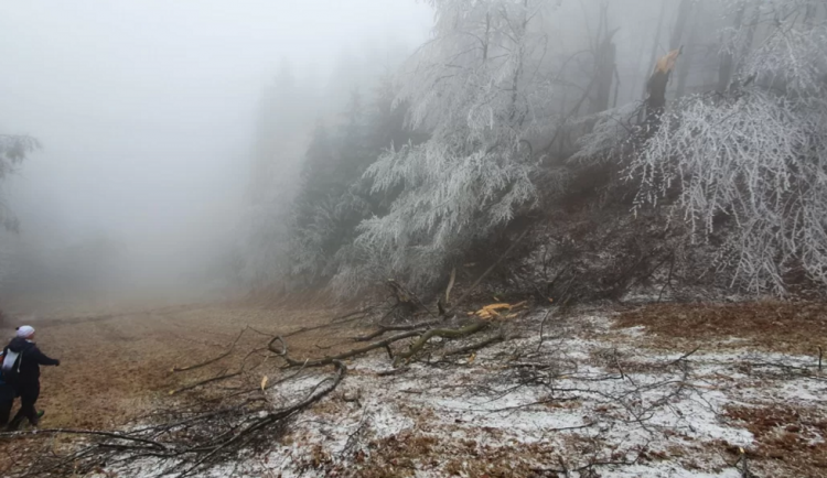 Pod tíhou ledu se lámou i stromy na hřebenech Krušných hor
