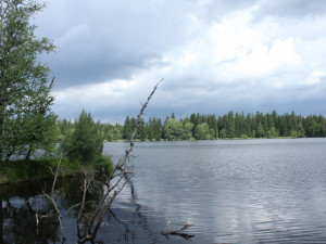 Kladská byla prohlášena novou krajinnou památkovou zónou